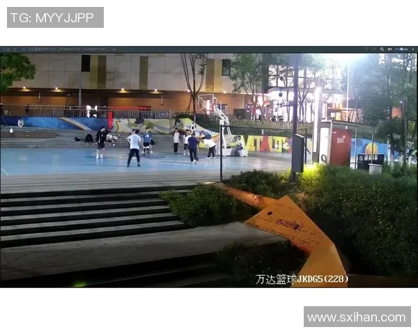 篮球明星遭遇盗窃事件球场外的安全隐患引发热议