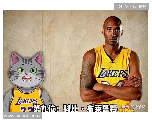 NBA明星篮球姿势解析展现运动魅力与技巧的完美结合